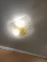 Юля Богданова, изображение к комментарию.