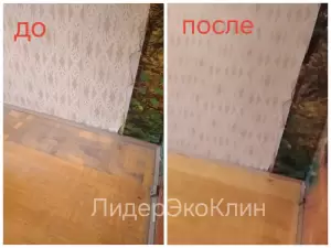 Фотография ЛидерЭкоКлин 2